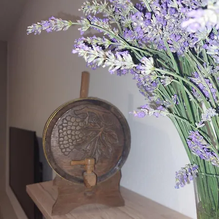 Apartment Beachfront Ana Trogir